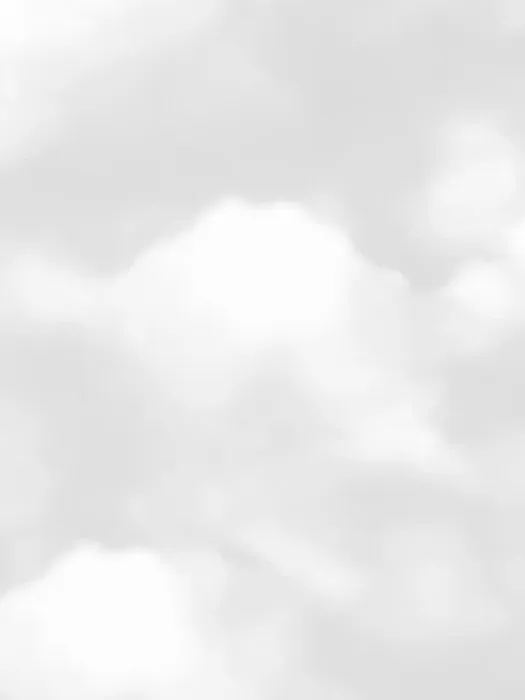 84248-3