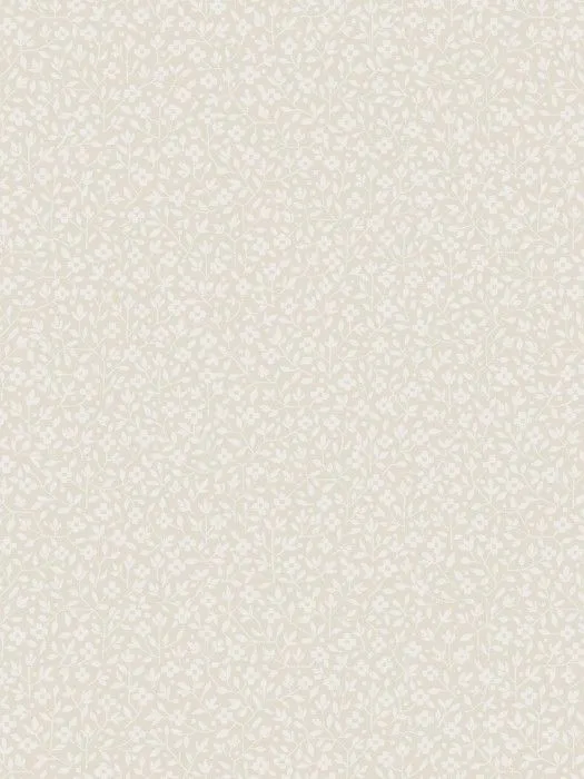 Ice 4 001