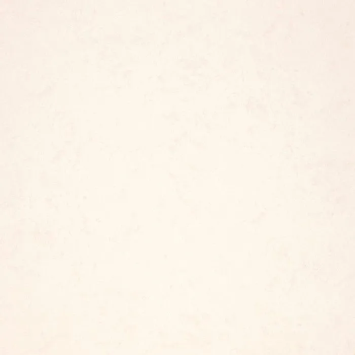 R11581