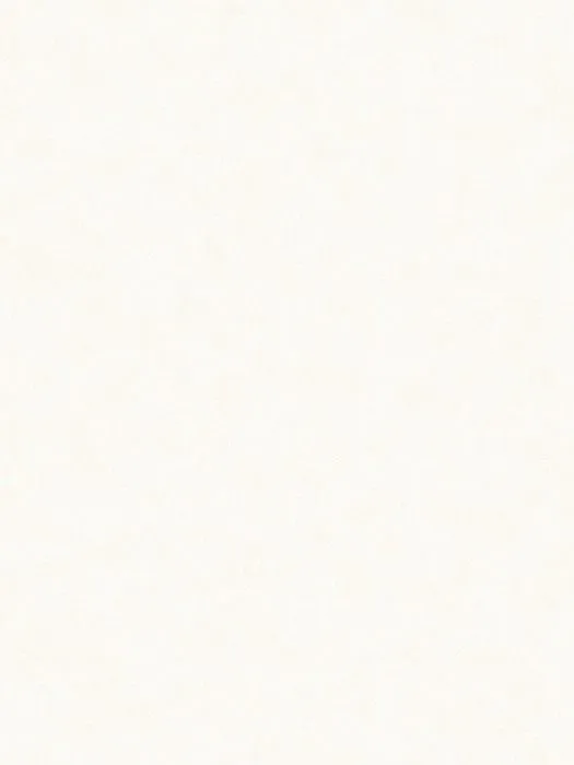 NP11 006