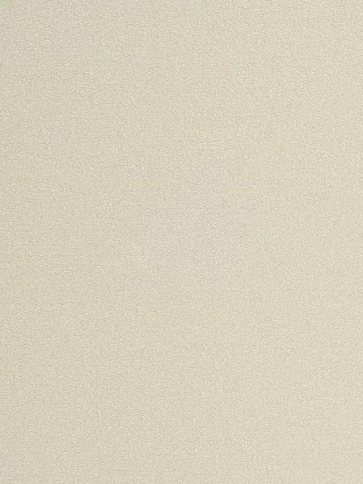 54355-6