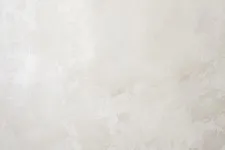 VS285922