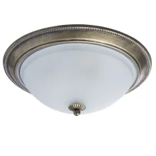 Светильник потолочный MW-Light Ариадна 450015503