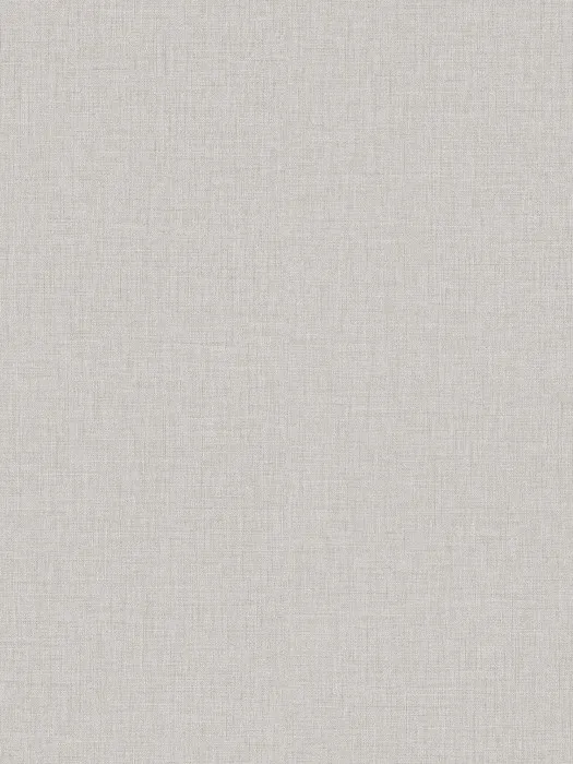 A101311