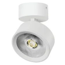 Светильник накладной LED 30W с накладной чашей Alta Pro Lightstar A5646SO