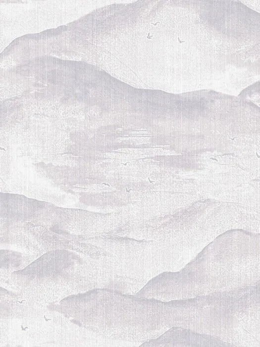 AM1 001