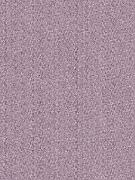SW8 007