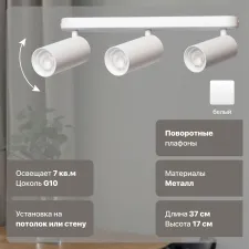 Светильник потолочный DeMarkt Прайм 850011803