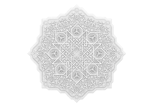 1.56.503_1