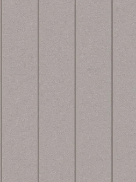 54387-19