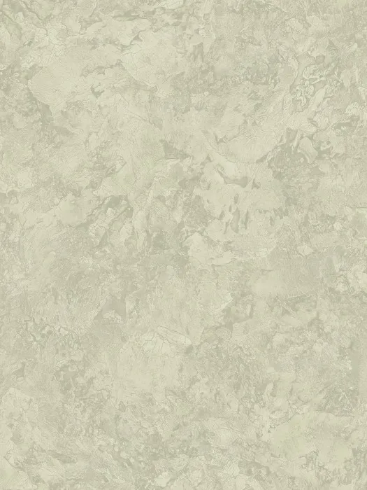 A75504