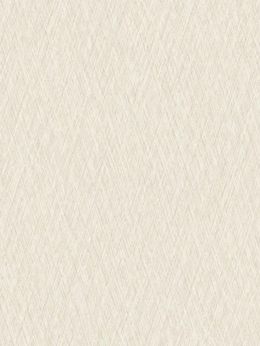 VE 1003