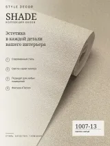 1007-13