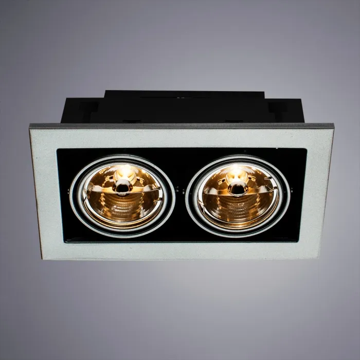 Карданный светильник Arte Lamp CARDANI MEDIO A5930PL-2SI | Дом Декора
