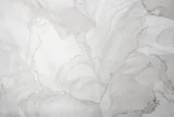 VS285914