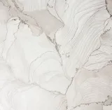 VS285914_1