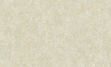 A55109