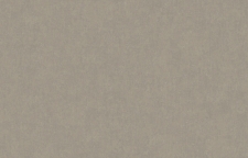 ARTS13 008-1