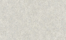 A55105