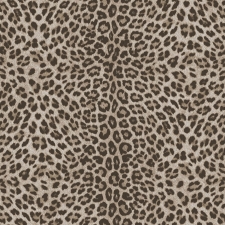 Z81028
