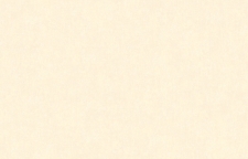 ARTS13 102
