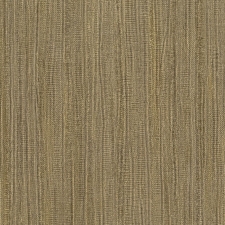 50005